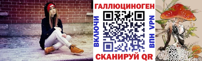 Купить где  Новозыбков  Псилоцибиновые грибы MAGIC MUSHROOMS 